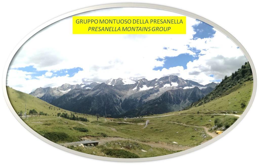 Marmot Apartment Dimaro Exterior foto